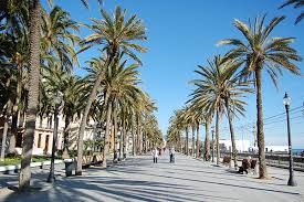 imagen paseo marítimo de badalona durante el dia